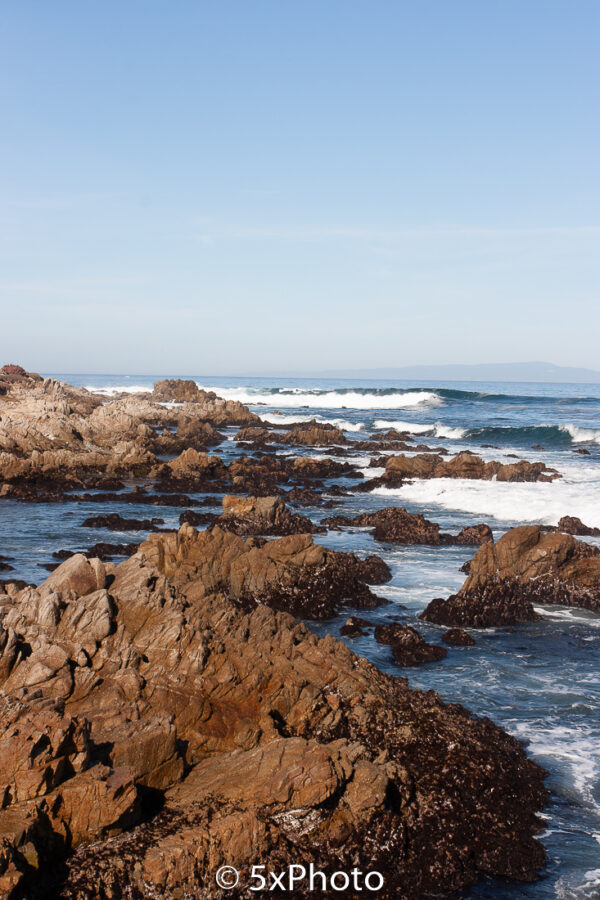 Earth, Pacific Grove, US, 2013