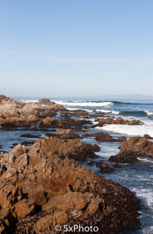 Earth, Pacific Grove, US, 2013